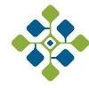 Trivium eSolutions Logo