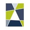 True North Advisors Logo