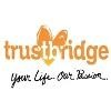 TrustBridge Health Logo
