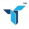 Tryzens Logo