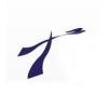 TSPI Logo