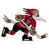 Tucson Roadrunners Logo