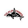 Tulalilp Data Services Logo