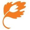 Tulips and Maple Logo