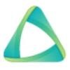 Turbizo Logo