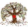Tuscola County Medical Care Community Logo