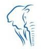 Tusk & Consultants Promotions Logo