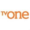 TV One Logo