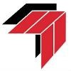 TWINSOFT Logo
