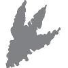 TyRex Group Logo