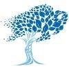 UBMD Orthopaedics & Sports Medicine Logo