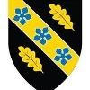 University of Wales Trinity Saint David Logo