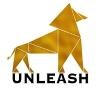 Unleash Internet Logo