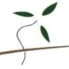 Urban Plantations Logo
