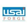 USAI Forge Logo