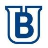 Usina Batatais Logo