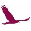 Vali Cooper & Associates Logo