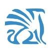 Valiance Solutions Logo