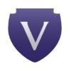 Valiant Marketing Group Logo