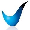 Validis Logo