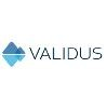 Validus Risk Management Logo