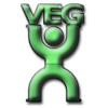Valley Engineering Group Logo