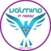 Valmind IT Needs Private Limited Logo