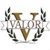 Valor Security Services Logo