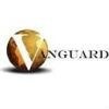 Vanguard International Partners Logo