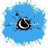 Vanswann Logo