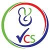 Vedang Consultancy Service Logo