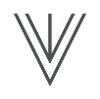 VEI Solutions Logo