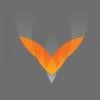 Velocity Consulting Logo