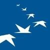 Veltigroup Logo