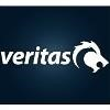 Veritas (Georgia) Logo