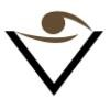 Veritas Advisory Group Logo