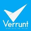Verrunt Web Solutions Logo