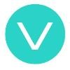 viasion Logo