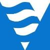 VibroSystM Logo
