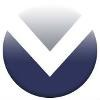 Victory Disability Logo