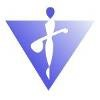 VIDYATECH SOFTWARE Logo