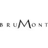 VIGNOBLES BRUMONT Logo
