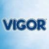 Vigor Alimentos Logo