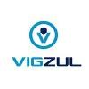 Vigzul Logo
