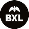 Ville de Bruxelles Logo