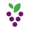 Vineyard Services Logo