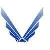 VINGS Technologies Logo