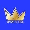 ViPeak Global Logo