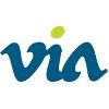 Virginia Institute of Autism Logo