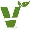 Viridian Logo